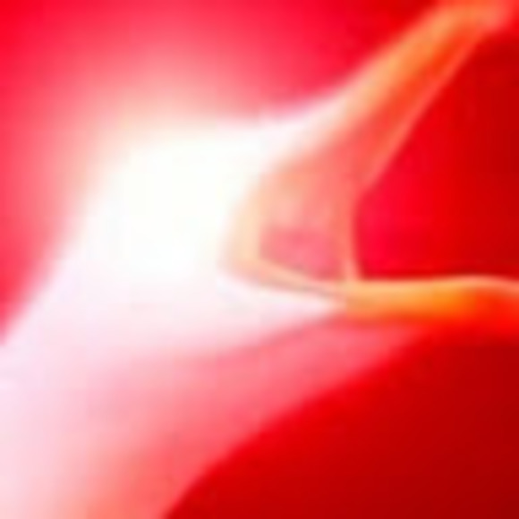 Meet your Posher, Paige - Picture 1 of 1